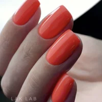 ногтевая студия lak lab nails&beauty на симферопольском бульваре изображение 7