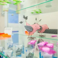 студия красоты mint bird studio изображение 16