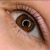студия красоты perfection изображение 4