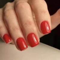 салон красоты diva la viva изображение 8