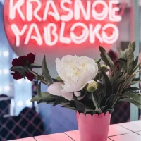 студия красоты krasnoe yabloko на нахимовском проспекте изображение 8