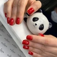 салон красоты панда изображение 8
