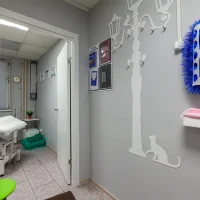 студия красоты волшебные руки  ​ изображение 10