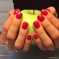 студия красоты пион изображение 1